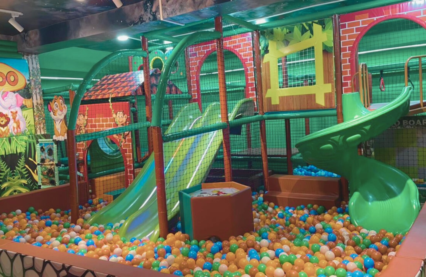 Wild Wonders ball pool and slides